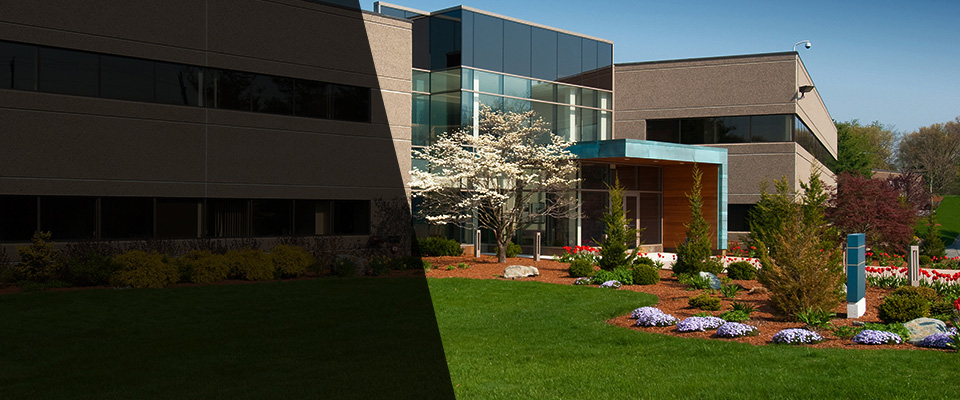 Port Ludlow Landscapers