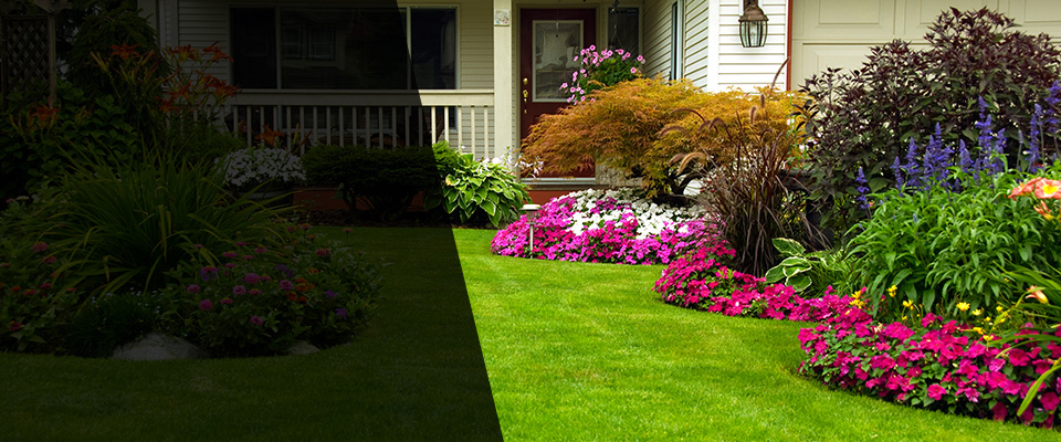 Port Ludlow Landscapers