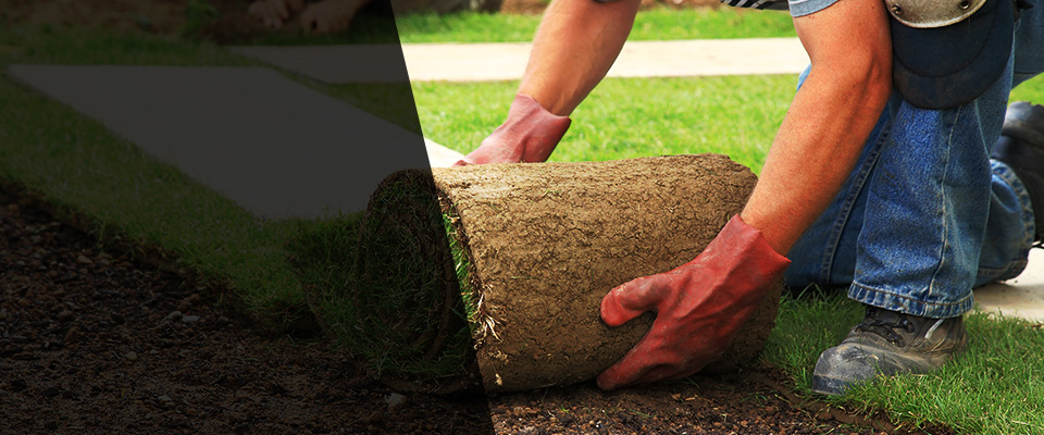 Port Ludlow Landscapers